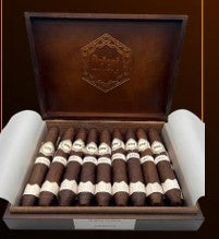 ISTANBUL SALOMON