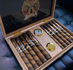 RM Solace Janus