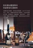 Glass Pourer Wine Decanter And Stoppers Set